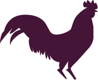 animated chicken